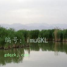 Ŭ