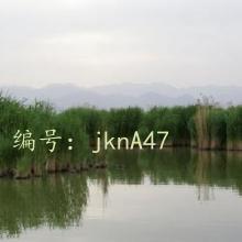 Ŭ