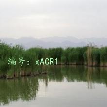 ĺ֮