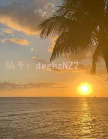 Ŭ