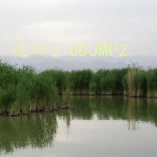 ĺ֮